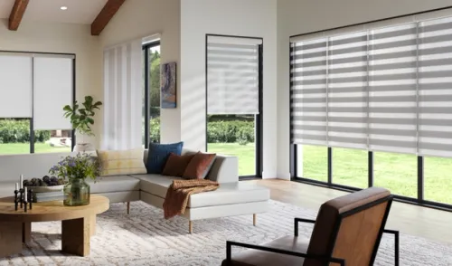 CGI roomset image of standard and dual shade window blinds covering black window frames and displaying light diffusion.