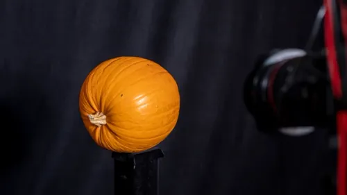 Pumpkin photogrammetry 3D scanning