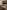 Naturewall banner image