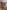Naturewall banner image