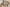Toll Brothers banner image