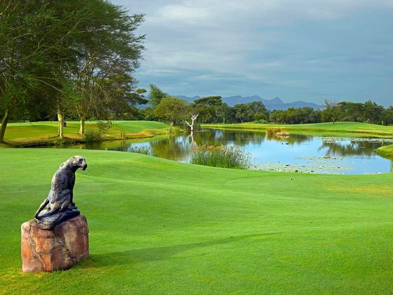 Leopard Creek Country Club - Golf Among Wildlife in Kruger (2025 Guide)