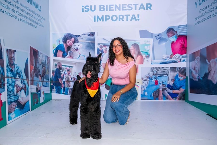 Animal Fest