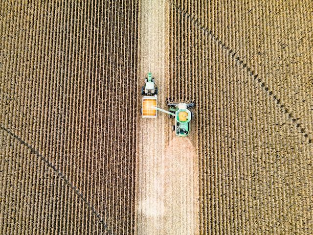 harvest time