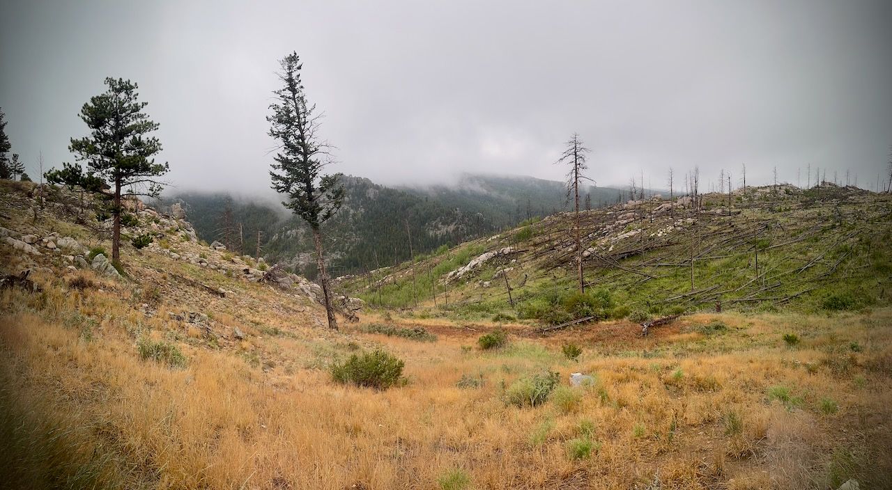 A photo of the canyon at my house. There's an intense fog with a rainstorm in the background.