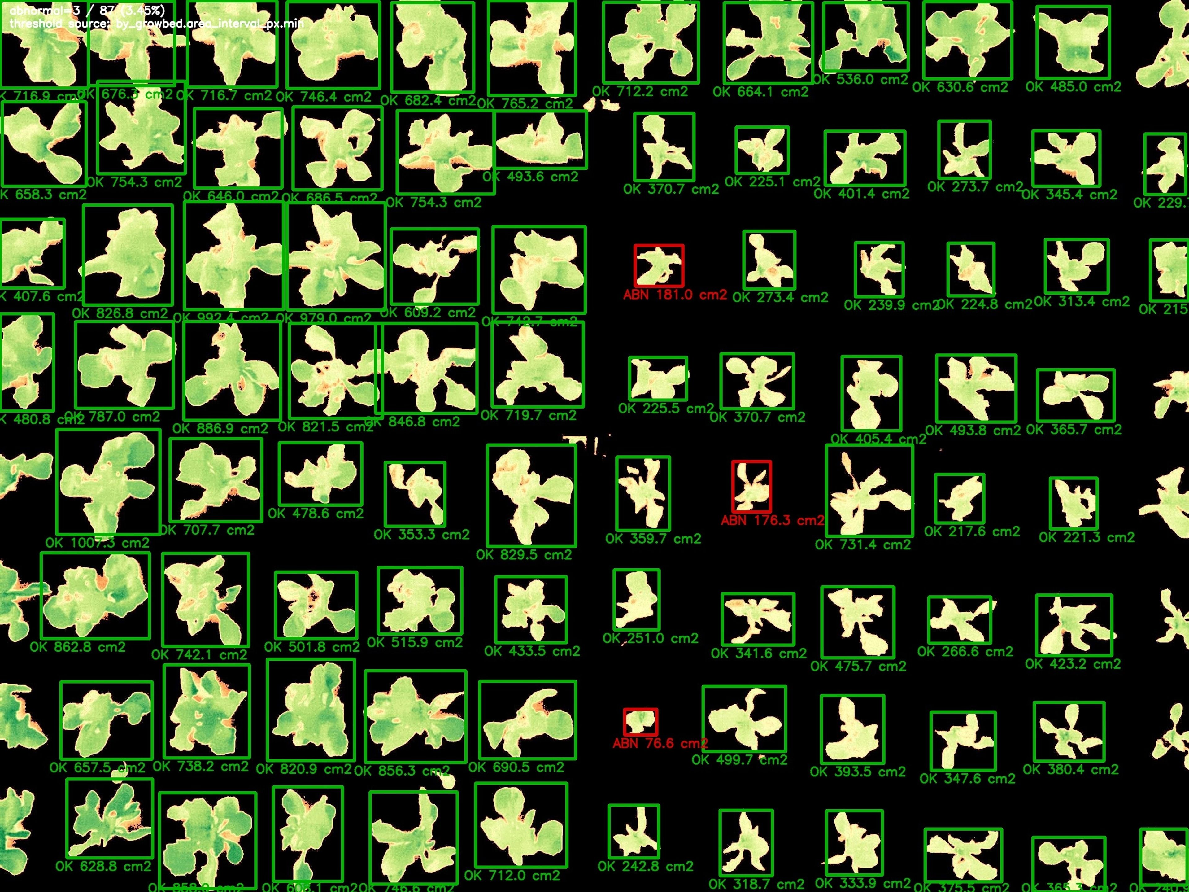 EcoSense disease detection in action with multispectral imaging technology.