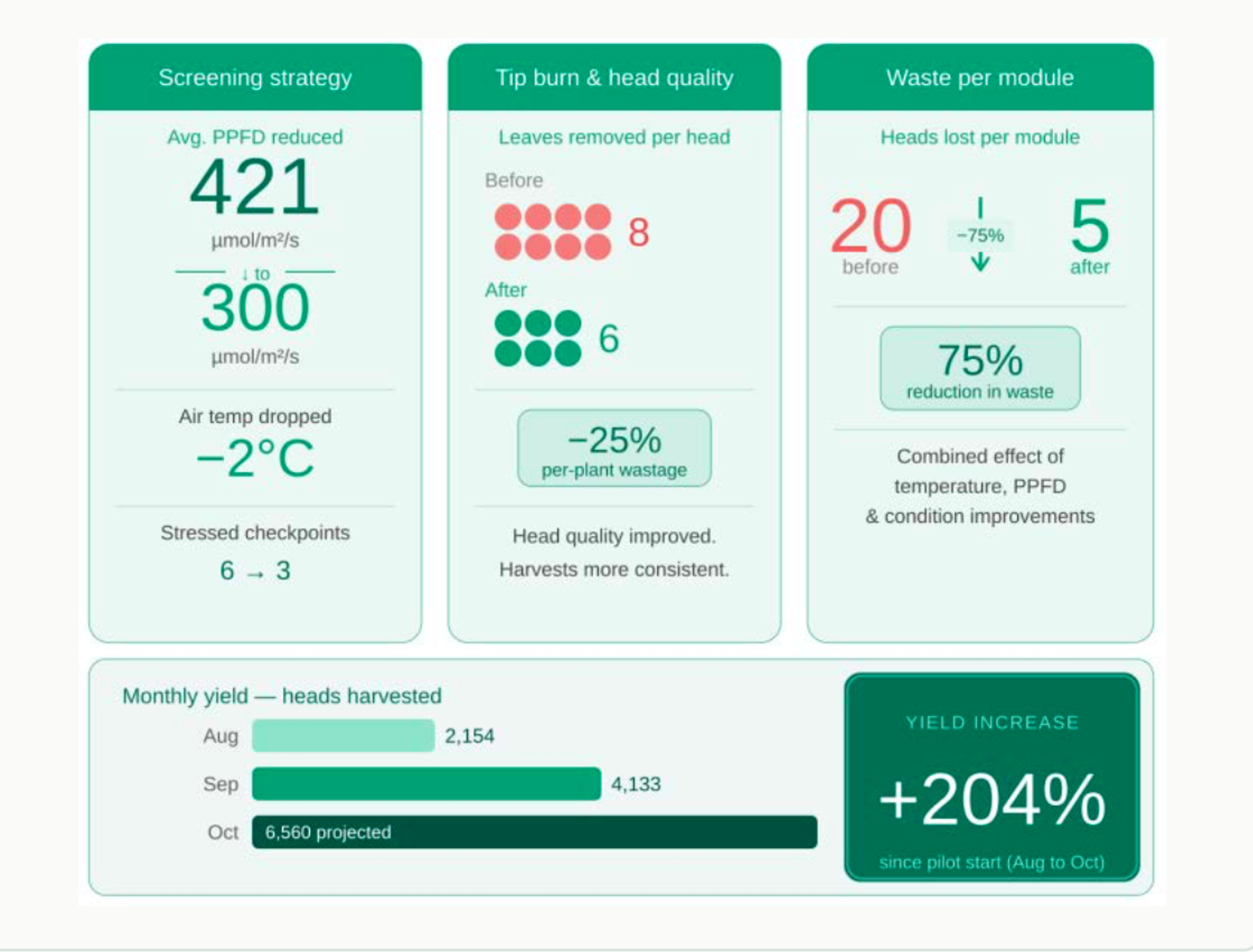 All measured outcomes between August and October — directly tracked through the EcoSense platform