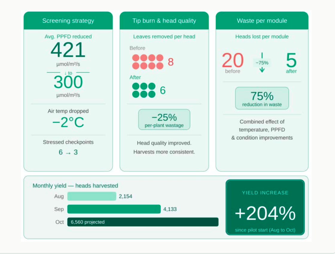 All measured outcomes between August and October — directly tracked through the EcoSense platform