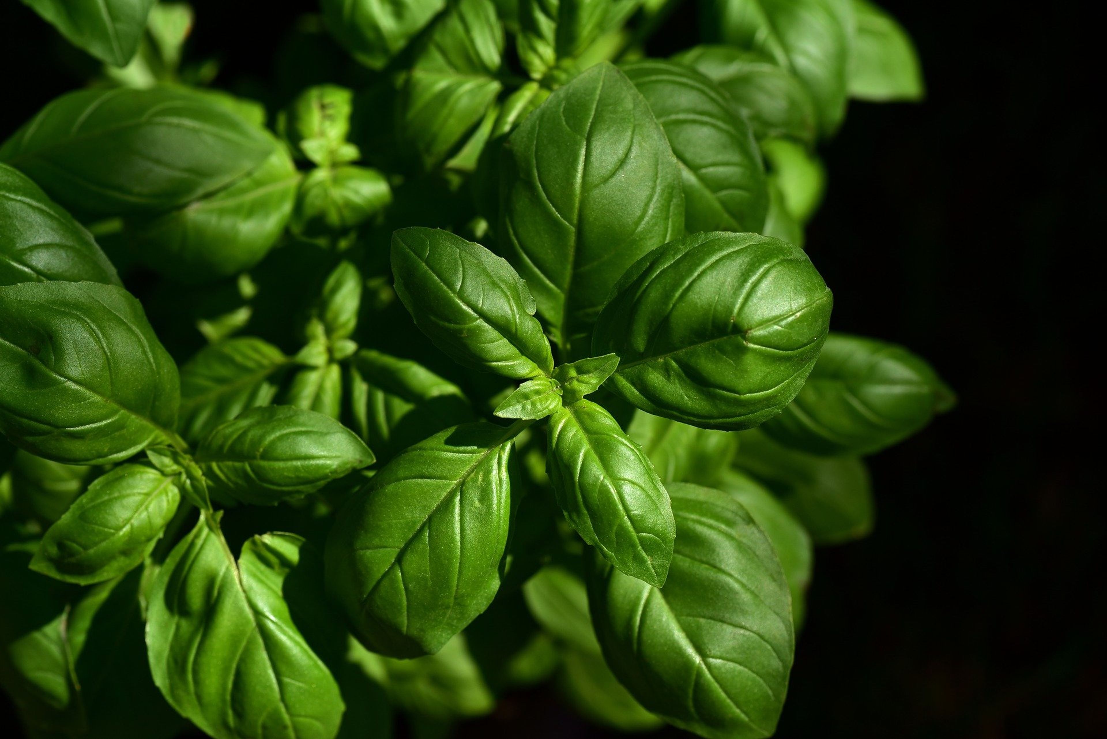 Blog post cover image
