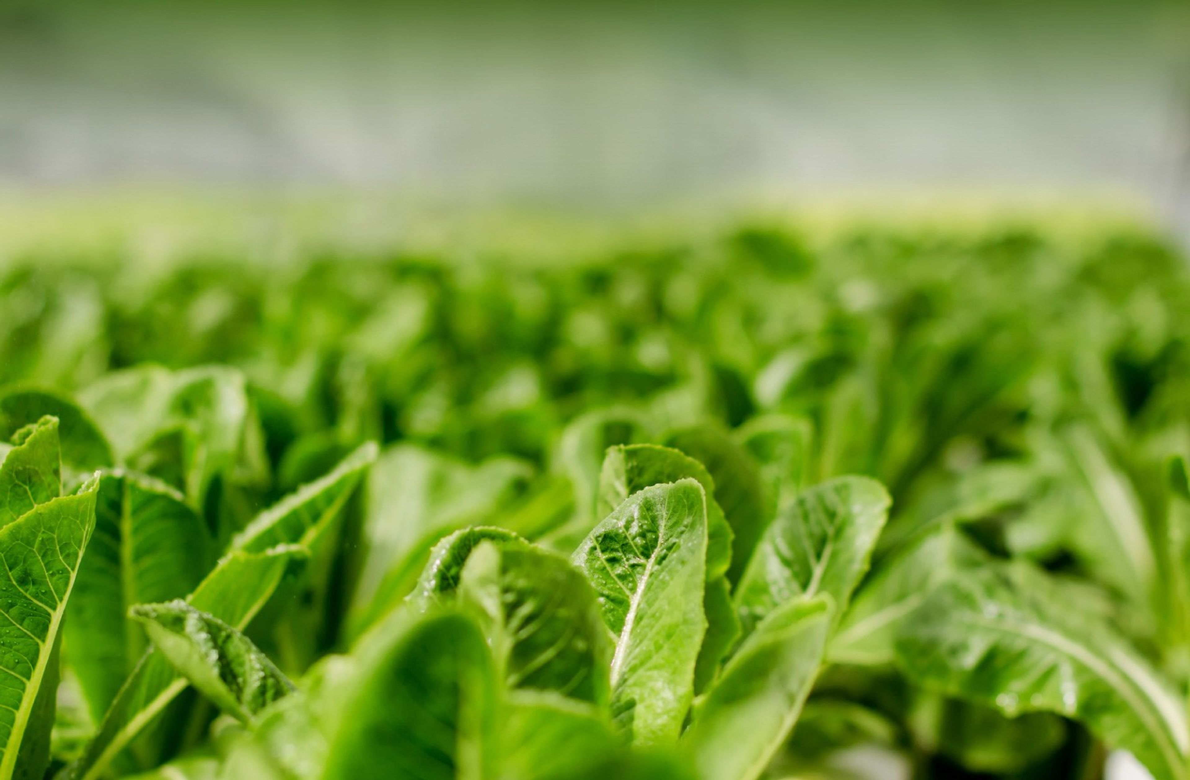 Blog post cover image