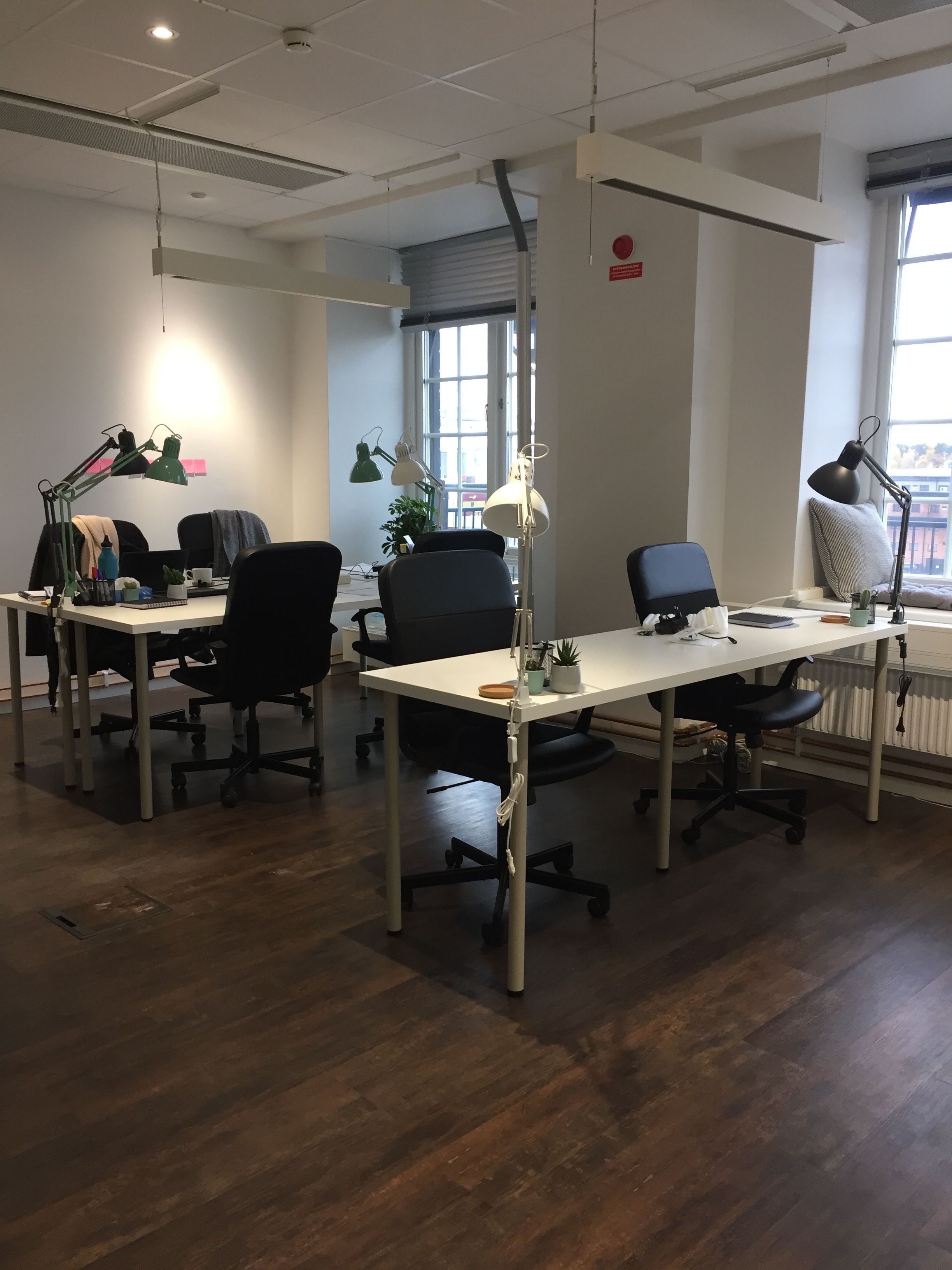 new ecobloom office