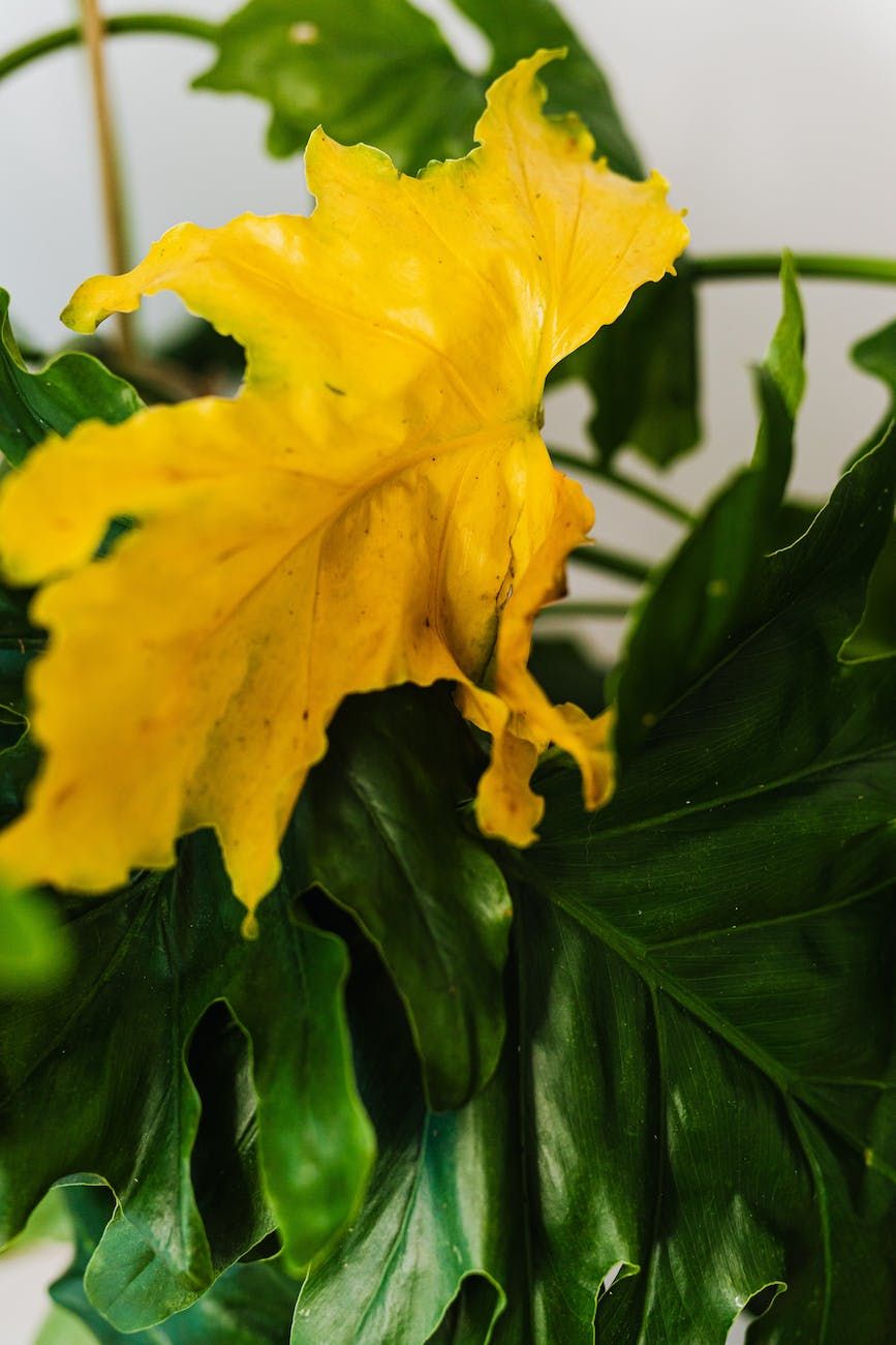 Blog post cover image