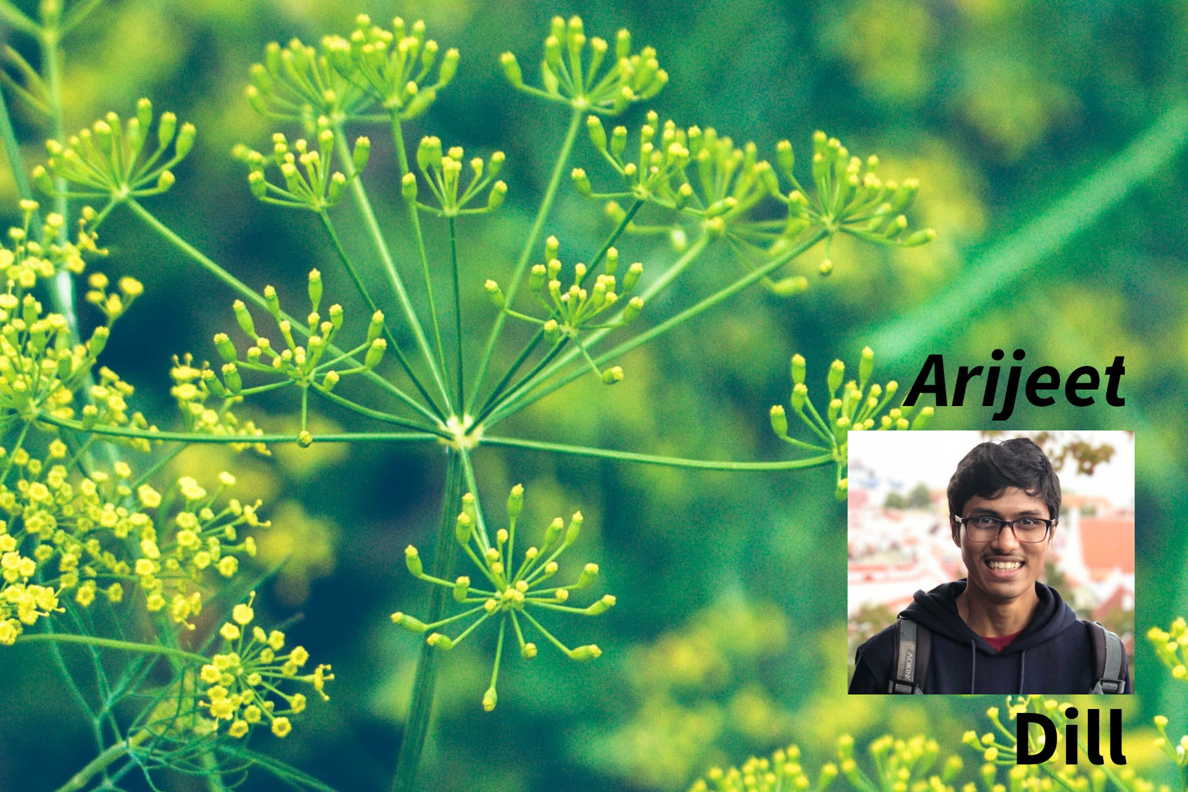 Arijeet & Dill