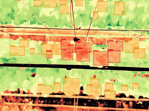 EcoSense disease detection in action with multispectral imaging technology.