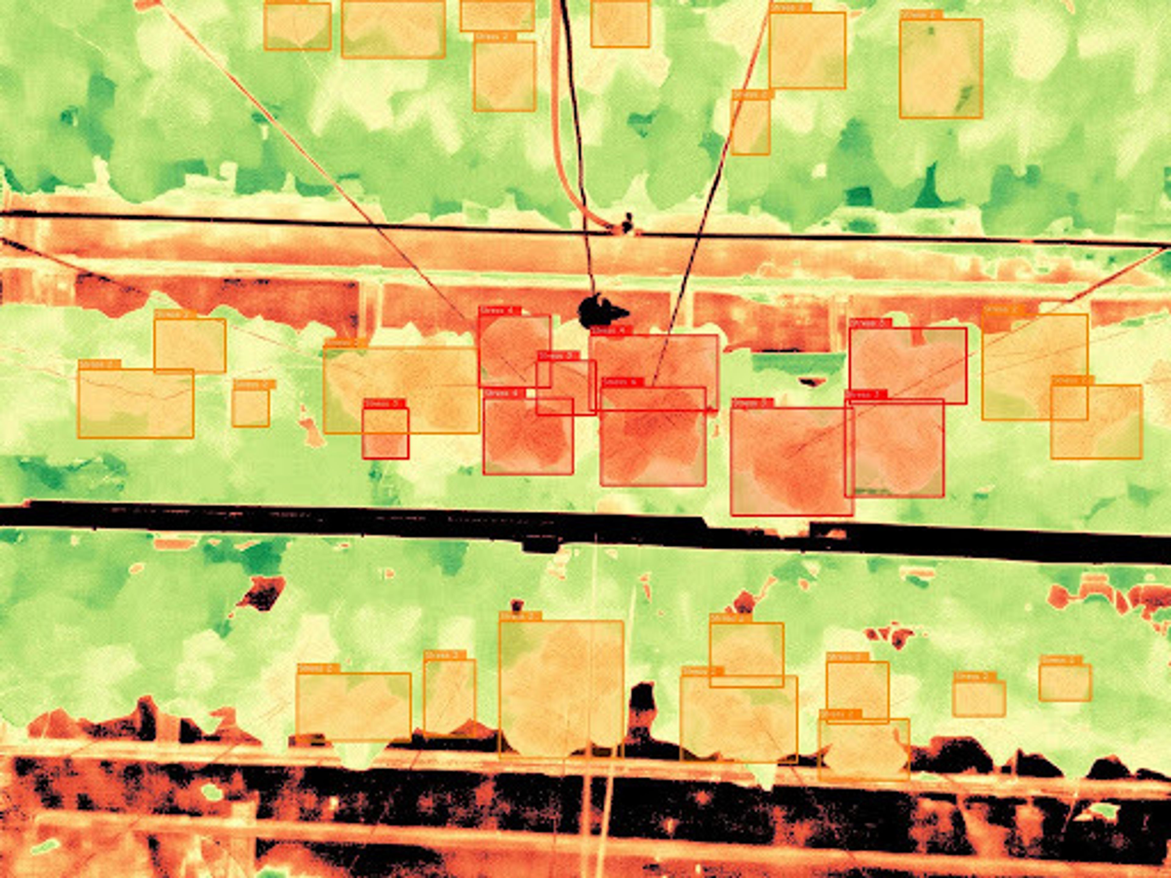 EcoSense disease detection in action with multispectral imaging technology.