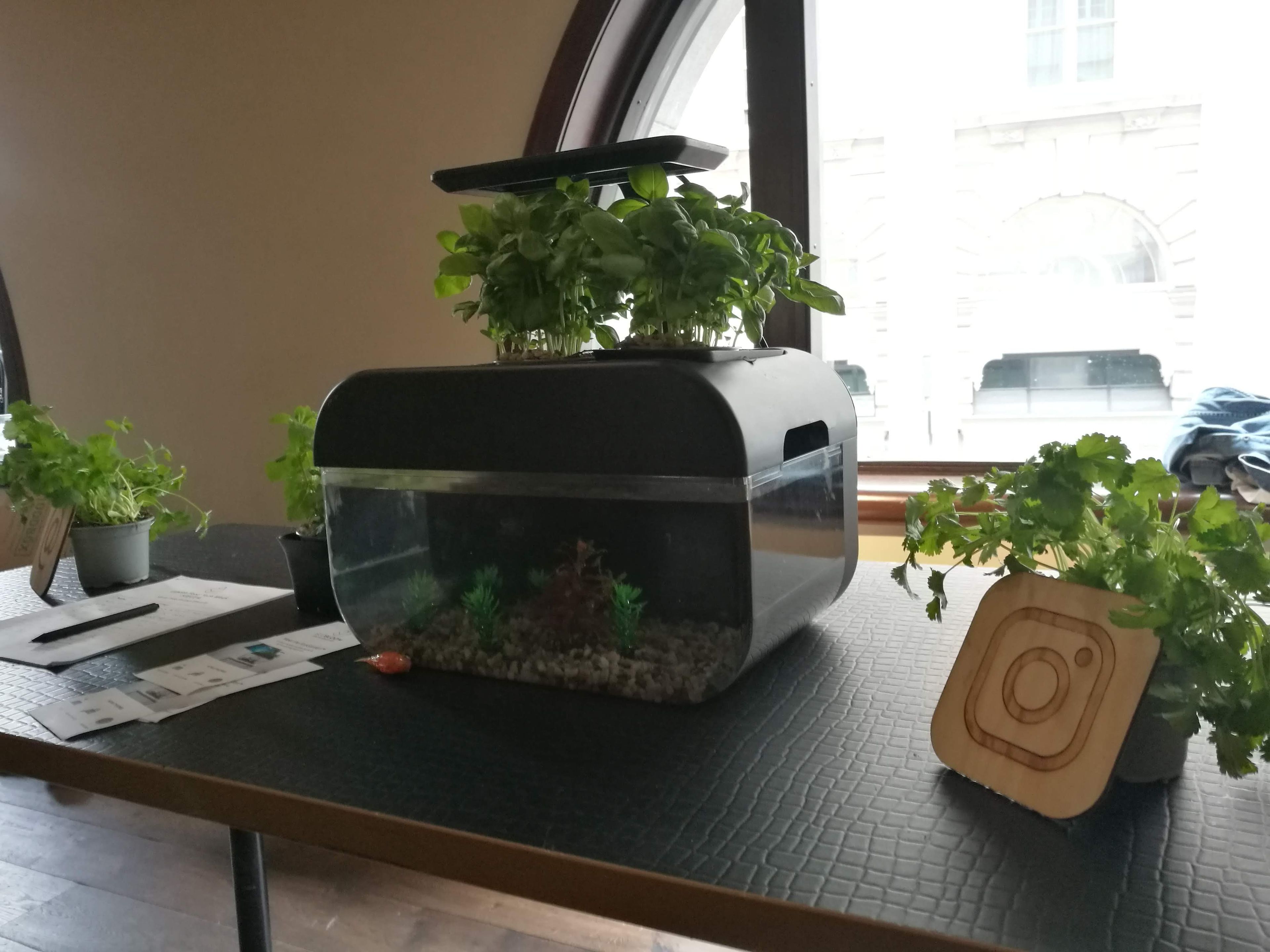 Ecobloom Booth at London Food Tech Week