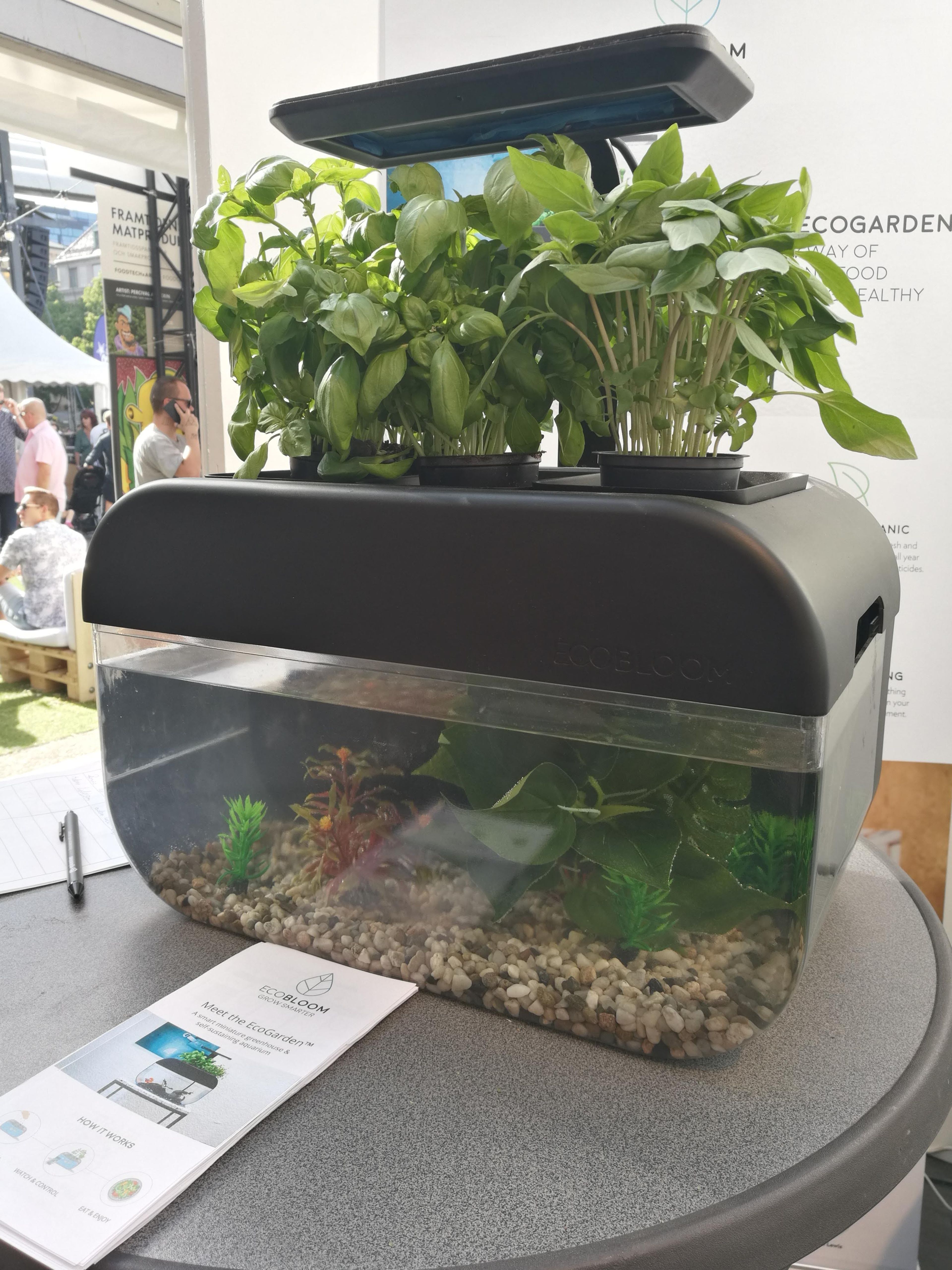 EcoGarden at Smaka på Stockholm