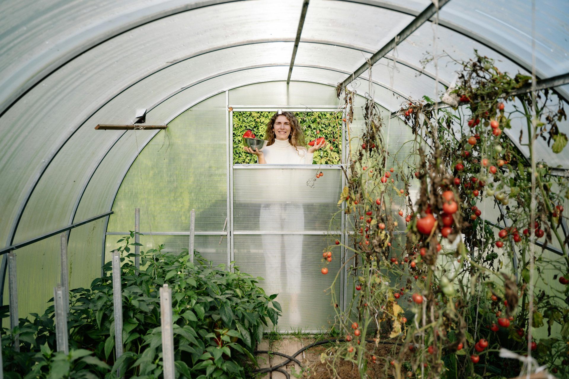Blog post cover image