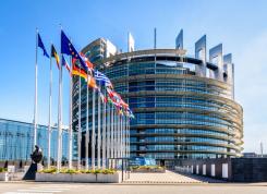 EU Parliament passes revisions to the overarching Waste Framework Directive, adding amendments to promote use of ‘ugly’ fruit and vegetables and extending textiles legislation to cover online sales
