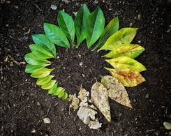 BDO LLP identified a 64 per cent increase in circular investments in 2020/2021