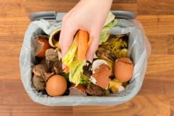 The analysis outlines where and how the industry can reduce its emissions