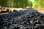 The carbon capture project, Mersey Biochar, will lock away thousands of tonnes of carbon each year into biochar