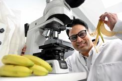 Northumbria research extracts fibres for biodegradable fabrics whilst transforming remaining biomass into renewable gas.