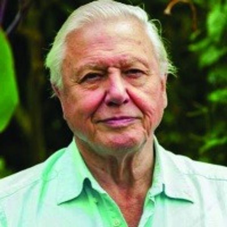 David Attenborough