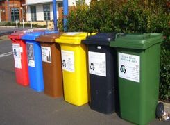 The trade association expressed disappointment with the lack of mandate for the use of caddy liners in food waste collection