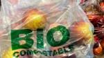 Biodegradable plastic bag with apples inside