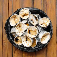 Defra cites £52 million cost and limited environmental impact as reasons for policy reversal