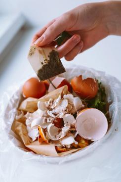 As the industry continues to transition from plastics to bioplastics, the answer to whether or not tea bags can go in the food waste bin is not so simple