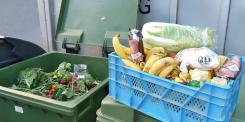Seven-partner project uses artificial intelligence to tackle UK food waste through automated surplus reallocation initiative