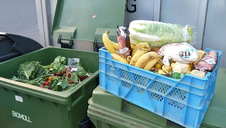 A box full of recovered vegetables and fruits from hypermarket waste