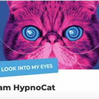 Hypnocat