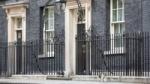 Cat looking for a mouse outside 10 Downing Street