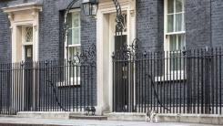 Cat looking for a mouse outside 10 Downing Street