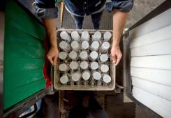 Six trials to reduce single-use food and beverage packaging will be financed