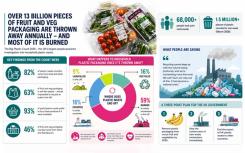 Infographic of key findings from the Big Plastic Count