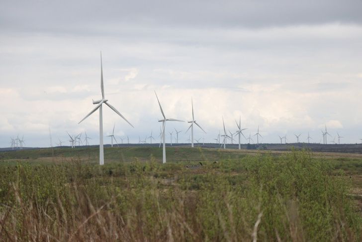 Wind turbines in field