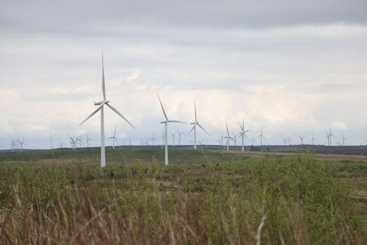 Wind turbines in field