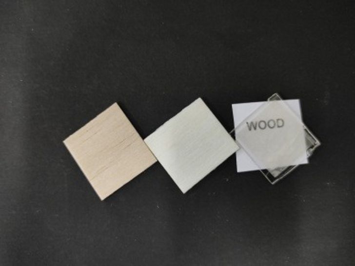 Transparent wood