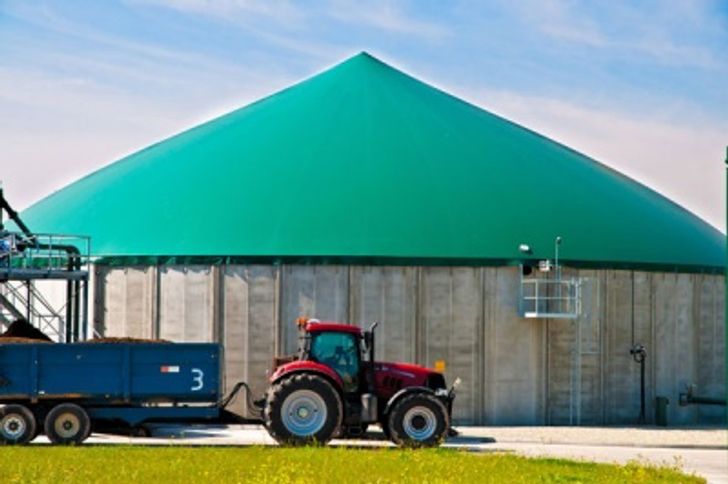 anaerobic digestion