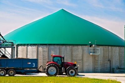anaerobic digestion