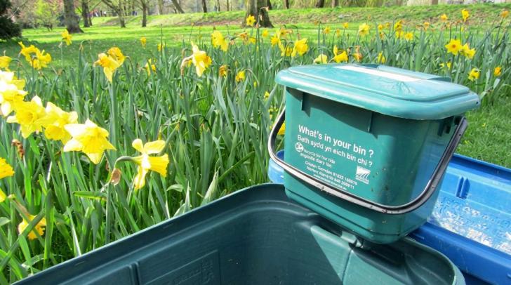 Food waste bin in front of daffodils