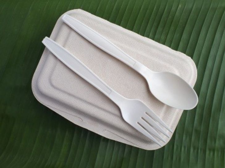 Bioplastic spoon fork and disposable lunch box