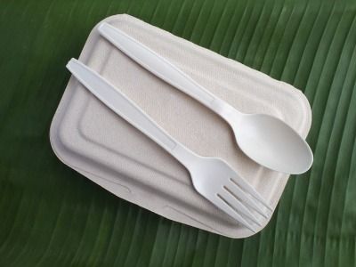 Bioplastic spoon fork and disposable lunch box