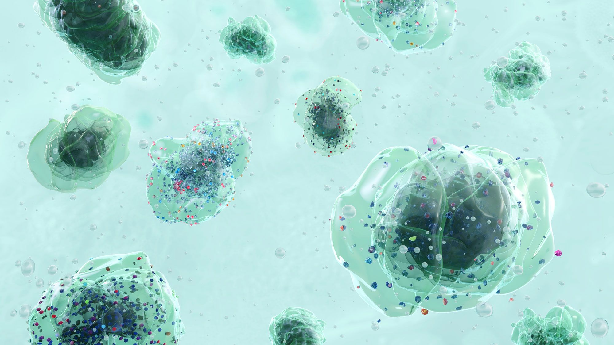 Microplastic particles and synthetic polymer fragments floating in a contaminated water environmen
