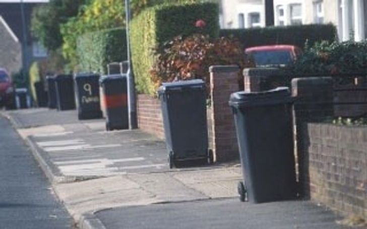Bins on street