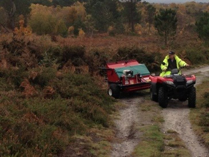 Beacon Hill restoration